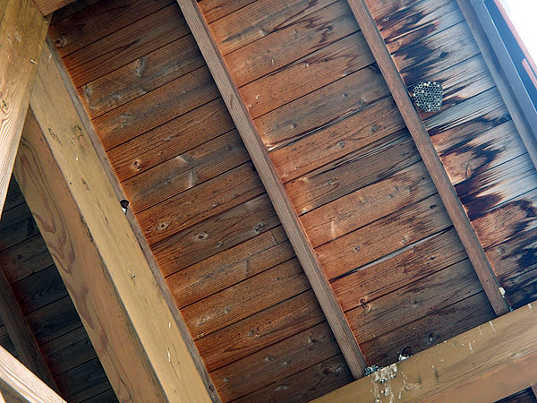 施設の軒下にはつばめや蜂の巣